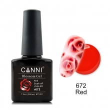 Oja Semipermanenta CANNI blossom 672