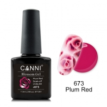 Oja Semipermanenta CANNI blossom 673