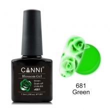 Oja Semipermanenta CANNI blossom 681