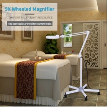 Lupa Cosmetica mobila cu lampa neon