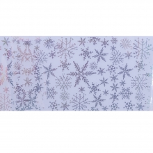 Folie de transfer set 10 Holographic Collection 14