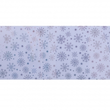 Folie de transfer set 10 Holographic Collection 14