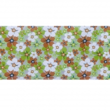 Folie de transfer set 10 Daisy Collection 11