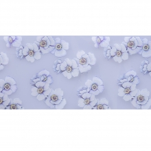 Folie de transfer set 10 Daisy Collection 11