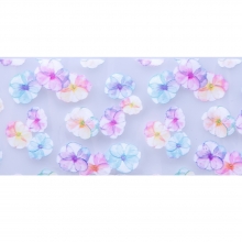 Folie de transfer set 10 Daisy Collection 11