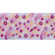 Folie de transfer set 10 Daisy Collection 11