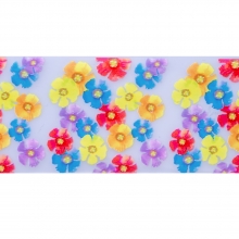 Folie de transfer set 10 Spring Collection 09