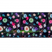 Folie de transfer set 10 Butterfly Collection 10