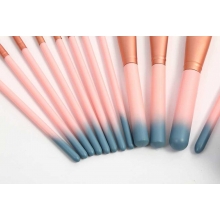 Pensule set 10 maner gold
