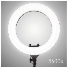 Lampa Circulara LED 35cm, Lumina Rece/Calda, Ring Light cu Trepied, Geanta si 3 Suporturi Telefon