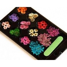 Decor Unghii Carton Yvette Flori Uscate - 1