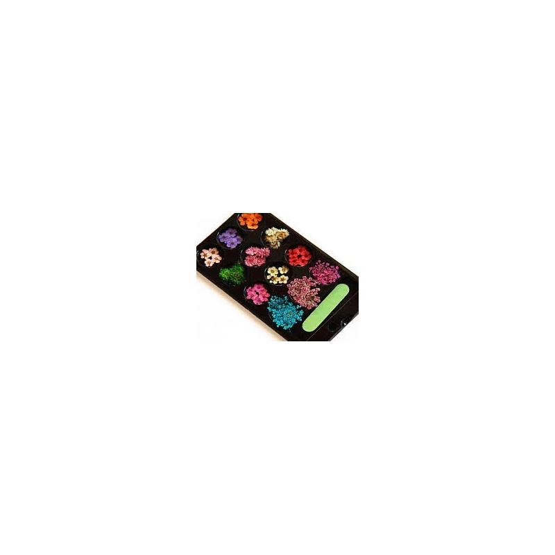 Decor Unghii Carton Yvette Flori Uscate - 1