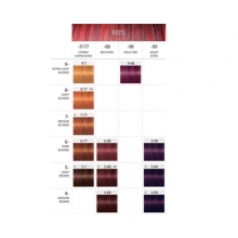 Vopsea de Par Permanenta Schwarzkopf Professional Igora Royal 4.99, 60ml