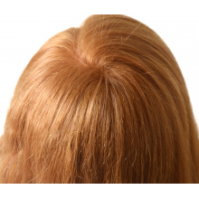 Cap Manechin pentru Vopsit cu Par Blond Auriu Natural 100%, 40-45cm + Suport Prindere - 12