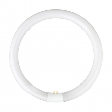 Tub Neon T5-22 W Circular pentru Lupa Cosmetica - 6500K - 1