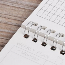 Agenda pentru Programari, Spirala si Coperta Cartonata - 3