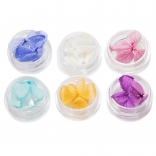 Decor Unghii, Flori Uscate, set 12 Culori Mix