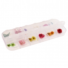 Decor Unghii, Flori Uscate, set 12 buc - Spring