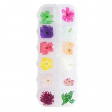 Decor Unghii, Flori Uscate, set 12 buc - Autumn