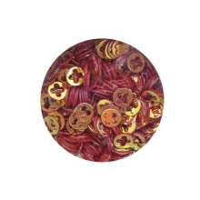 Decor Unghii, Paiete, Set 12 Culori 3746