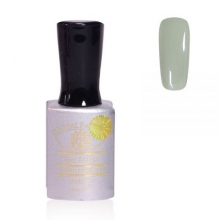 Oja Semipermanenta Premium 15 ml, 040