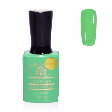 Oja Semipermanenta Premium 15 ml, 029