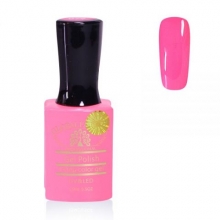 Oja Semipermanenta Premium 15 ml, 079