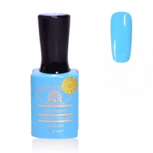 Oja Semipermanenta Premium 15 ml, 069