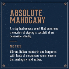 Sampon pentru Par 3 in 1 (Sampon, Balsam, Gel de Dus) Absolute Mahogany Man Made - 100 ml