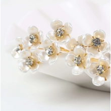 Ace de Coc Gold Flower, Set 10
