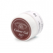 Gel Color Unghii, Vopsea de Arta Global Fashion, Seria Rose Red F67, 5g