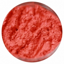 Pigment Machiaj Ama - Bed of Flowers, No 93