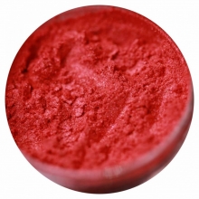 Pigment Machiaj Ama - A Rose In My Garden, No 553