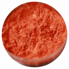 Pigment Machiaj Ama - Love Me More, No 558