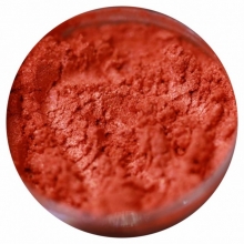 Pigment Machiaj Ama - Pumpkin King, No 557