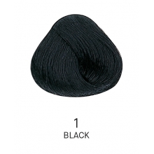 Vopsea de Par Permanenta cu Amoniac Negru Yellow Color 1.0 100ml